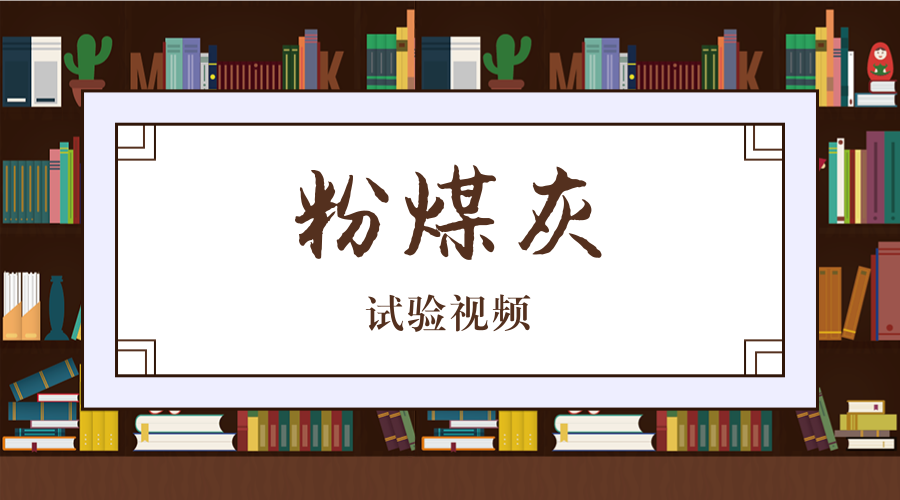 粉煤灰 封面